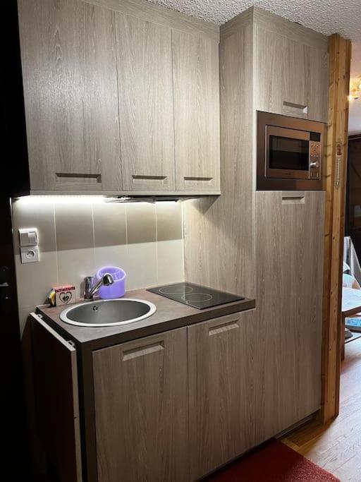 Appartement La Clusaz Avec Terrasse Sur Les Pistes De Ski マニグード エクステリア 写真